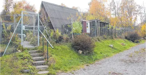  ?? FOTO: JOHANNES BÖHLER ?? Schwer umstritten im Verein sind derzeit die Vorgänge in der Parzelle des Kleintierz­üchters.