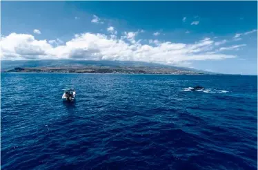  ?? © Anthony Nicolazzi ?? Depuis quelques années, les baleines à bosse ont fait leur retour à la Réunion, à la grande joie des touristes.