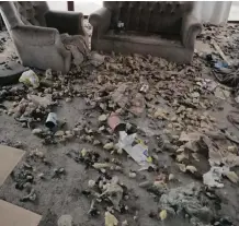  ??  ?? AN image, taken by a member of the SPCA, shows the inside of the house, where the lounge area was scattered with sponge material from a mattress. Dog faeces were also scattered on the floor.