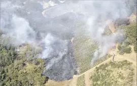  ?? Michael Short Associated Press ?? SO FAR, only a handful of winery buildings have been destroyed in the blazes. Above, smoke rises near a vineyard as a fire burns Monday east of Napa, Calif.
