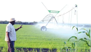  ?? - (File Picture) ?? Ndodana Sibanda shows how the centre pivot works to water the wheat in Arda Jotsholo.