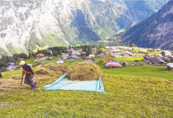  ?? RICK STEVES/ RICK STEVES' EUROPE ?? A farmer loads up his tarp for a hayride directly to his barn below, where his son waits to help him load it into the barn for safekeepin­g.