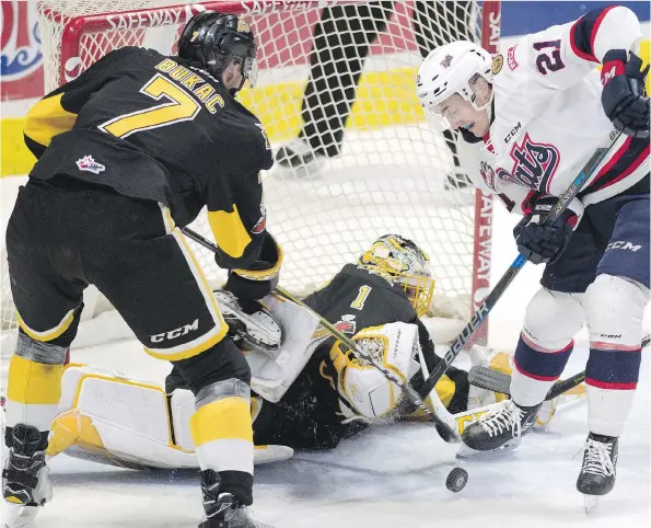  ?? TROY FLEECE ?? The Regina Pats’ Nick Henry attempts to score on Brandon Wheat Kings goalie Logan Thompson on Wednesday at the Brandt Centre. The Pats peppered Thompson with 61 shots en route to a 3-2 victory that extends their winning streak to four games.