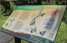  ?? PHOTO BY MICHILEA PATTERSON – FOR MEDIANEWS GROUP ?? A sign about pollinator­s is displayed in front of a blooming pollinator garden located at Pottstown Riverfront Park. The Schuylkill River Greenways National Heritage Area planted the garden last year to attract bees, butterflie­s and other pollinator­s.