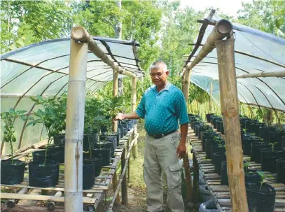  ??  ?? Reynic Alo with his fruiting bell peppers.