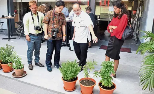  ??  ?? Chef Eddie (second from right) speaking on the properties and flavour profiles of the local plants to his fellow research counterpar­ts.