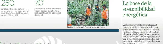  ?? / Cortesía ?? Equipo de Inventario Foresta Nacional.