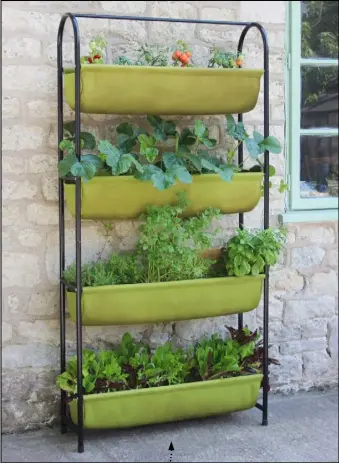  ??  ?? Place your planter outside the kitchen door so everything is within easy reach when you’re cooking Chef’s companion