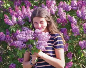  ?? BARB AGUIAR/Westside Weekly ?? Olivia Fiume enjoys a bouquet of fragrant purple lilacs from a shrub bursting with flowers in front of Ciao Bella, her family’s winery, in West Kelowna on the weekend. The Central Okanagan reached a high of 24.5 C on Sunday, the warmest day of 2020 so far.