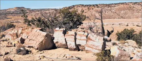  ?? PETER BG SHOEMAKER/FOR THE JOURNAL ?? A curious discovery looks similar to petrified wood. Below left, a bit of rock art discovered on a wander through the Ojito Wilderness.