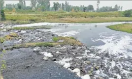  ?? HT PHOTO ?? Industrial waste of various factories of Yamunanaga­r is discharged in Yamana river daily.