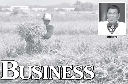  ?? IAN PAUL CORDERO/PN ?? Ilonggo farmers mill their newly harvested rice crops at Barangay Lanit, Jaro, Iloilo City.