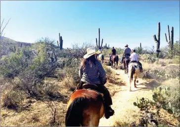  ?? LINCOLN SHLENSKY FOR THE WASHINGTON POST ?? Trail rides at the ranch usually start off slow, but when experience­d riders hit the flat washes, the excitement begins.