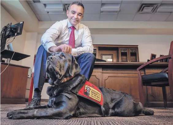  ?? ROBERTO E. ROSALES/JOURNAL ?? ABOVE: Bernalillo County District Attorney Raúl Torrez pets Woodstock, an assistance dog, in his Downtown office.