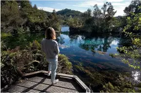  ?? ALDEN WILLIAMS/STUFF ?? Te Waikoropup­u¯ Springs are the subject of a Water Conservati­on Order recommenda­tion now before the Environmen­t Court.