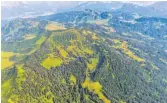  ?? FOTO: LIENERT ?? Im Riedberger Horn gibt es viel Birkwild.