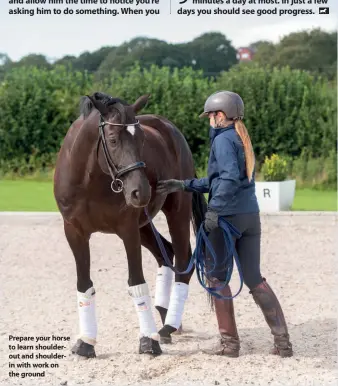  ??  ?? Prepare your horse to learn shoulderou­t and shoulderin with work on the ground