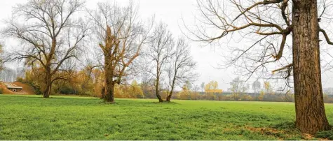  ??  ?? Hier auf dieser Wiese in der Nähe von Bonn wollte ein Pärchen in Ruhe zelten, als es in der Nacht von einem Unbekannte­n brutal überfallen wurde.