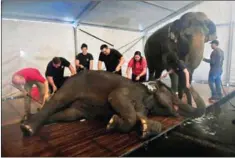  ?? MICHAEL S WILLIAMSON/THE WASHINGTON POST ?? Ryan Henning, left, and a crew give the elephants a bath before their last few shows.