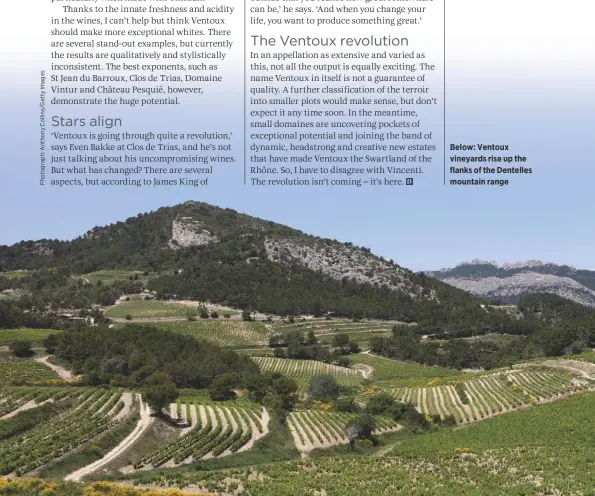  ??  ?? Matt Walls is a contributi­ng editor for Decanter and Decanter World Wine Awards Regional Chair for the Rhône Below: Ventoux vineyards rise up the flanks of the Dentelles mountain range