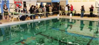  ?? RICHARD LAUTENS/TORONTO STAR ?? The Scadding Court Community Centre at Bathurst and Dundas has transforme­d the indoor swimming pool into a trout pond for a week. School groups and community members are invited to come and catch a fish.