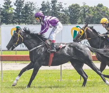  ??  ?? WINNING COMBINATIO­N: Stephen Wilson, who rode the Stephen Potiris-trained Short Term to victory at Innisfail, will be back on board the three-year-old at Cannon Park today. Picture: MIKE MILLS