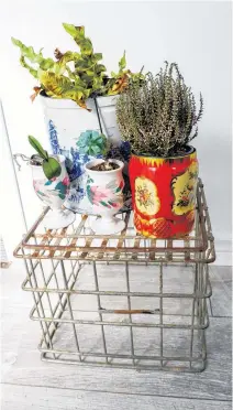  ??  ?? Have some old canisters laying around? Try turning them into fun planters. Krista Montelpare from Glace Bay, N.S. says repurposin­g these items saves the time and cost of shopping for a new object to fulfill a need.