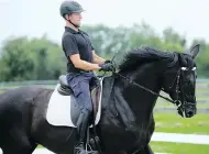  ?? JULIE OLIVER / POSTMEDIA NEWS ?? Horse trainer Daniel Kehres rides Judicial at the RCMP stables in Ottawa. The six-year-old Hanoverian mare is among 40 horses up for auction online.