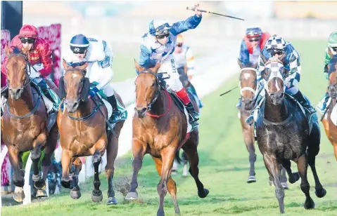  ?? Photo / Grant Peters ?? Michael Cahill salutes as Bostonian wins the Gr.1 Kingsford Smith Cup at Eagle Farm.