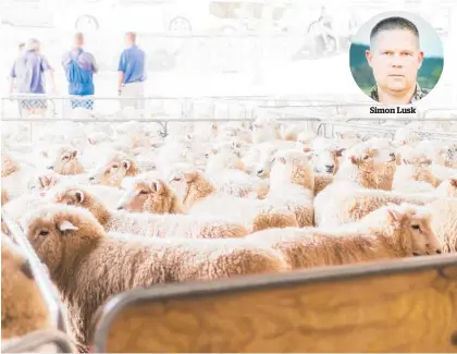  ??  ?? Simon Lusk
Alliance Group says it mainly handles sheep and was hit harder by Covid restrictio­ns than other meat processors.