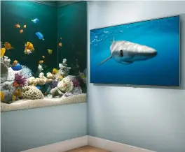  ??  ?? A cg aquarium was created in order to depict the reactions of ‘fish’ to the lifelike visuals on a samsung TV The ‘premium social’ approach ensures that the videos are designed to really stand out on social media platforms’ feeds You can watch the range...