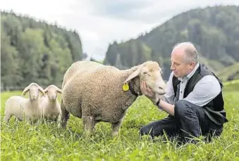  ?? LAND/OW ?? Johann Seitinger, Landwirt– schaftsmei­ster und seit 2003 Landesrat, feiert am heutigen Montag seinen 60. Geburtstag