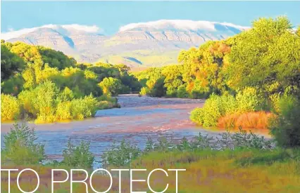 ?? DENNIS O’KEEFE/THE GILA RIVER COALITION ?? The Gila River is the lifeblood of the Gila Wilderness Area and will be celebrated at the 15th annual Gila River Fest Sept. 19-22.