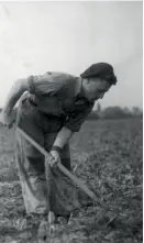  ?? ?? Above: Max hoeing crops at The Bachad Farm Institute in 1947. Left: playing the accordion with his great grandson