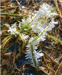  ?? Foto: Gyula Haber ?? Im Winter, wenn bestimmte meteorolog­ische Voraussetz­ungen vorliegen, entstehen solche Formen von Eis. Gesehen und fotografie­rt von Gyula Haber in Wollishaus­en.