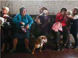  ?? — AP ?? Parishione­rs sit with their pets as they wait for a priest's blessing inside the San Francisco Catholic church in Santiago, Chile, on Friday.