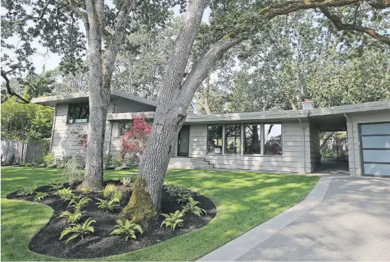  ??  ?? The home’s mid-century modern lines are enhanced by Robert DeGros Landscapes’ low-level plantings, punctuated by mid-storey Japanese maples.