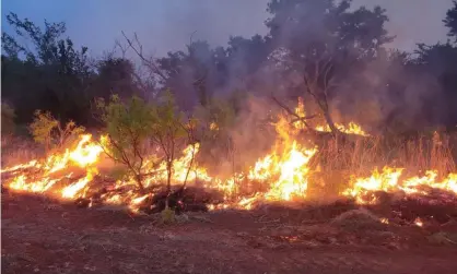  ?? Photograph: Wichita West Fire Department/Reuters ?? A view of an active fire line as firefighte­rs work to contain the Coconut fire, a wildfire in Vernon, Texas, this week.