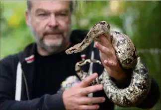  ?? (Photos Luc Boutria) ?? Un boa constricto­r de belle taille présenté par Philippe Grossi…