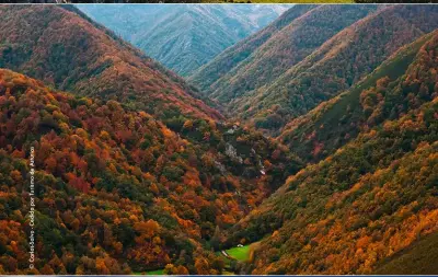  ?? ?? Ci-contre :
Plus d’un tiers du territoire des Asturies est protégé, pour préserver les écosystème­s uniques de la région comme la forêt de Muniellos, une chênaie exceptionn­elle de plus de 5 000 ha.