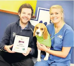  ??  ?? White Cross Vets scooped the Society of Practising Veterinary Surgeons’ inaugural Wellbeing Award. Picture shows Ed Newbould, head of team engagement and developmen­t at White Cross Vets with veterinary nurse Nicola Bond and dog Millie.