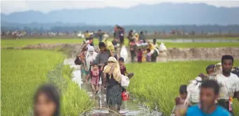  ??  ?? Des réfugiés rohingya traversent des champs de riz après s’être introduits au Bengladesh, vendredi. - Associated Press: Bernat Marmangue