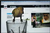  ?? AMR NABIL — THE ASSOCIATED PRESS ?? “Sugar,” a lovebird, stands over an empty cup of tea in front of the laptop of Associated Press photograph­er Amr Nabil displaying images in Jiddah, Saudi Arabia, on July 7.