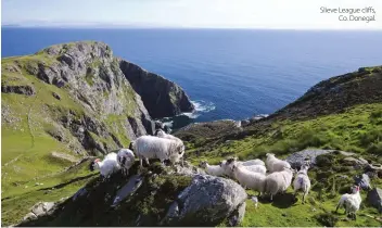  ??  ?? Slieve League cli s, Co. Donegal.