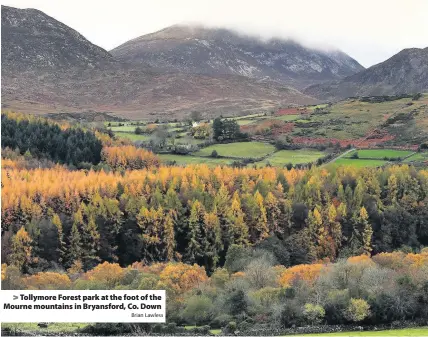  ?? Brian Lawless ?? Tollymore Forest park at the foot of the Mourne mountains in Bryansford, Co. Down