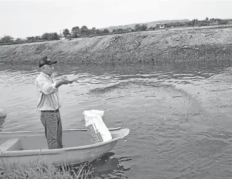  ?? FOTO: EL DIARIO ?? Alfredo Molina tiene su camaronera en el sitio La Segua, de Chone.