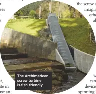 ??  ?? The Archimedea­n screw turbine is fish-friendly.