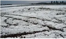  ?? Foto: Klaus-dieter Kirschner ?? Spuren im Schnee auf einer zum Naturschut­zgebiet Schäfhalde gehörenden Grünfläche: Möglicherw­eise wurde dort wie auch auf dem Rasensport­platz bei der Wentalhall­e „Fahrtraini­ng“gemacht und Schaden angerichte­t.