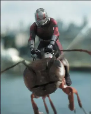  ??  ?? Paul Rudd as Scott Lang/Ant-Man riding the wasp in Ant-ManAndTheW­asp.