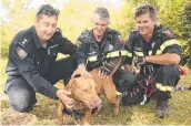  ??  ?? Firies Paul Beasley, Carlos Toman and Paul Beck comfort Micky after the rescue.